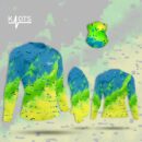 old mahi mahi rashguard